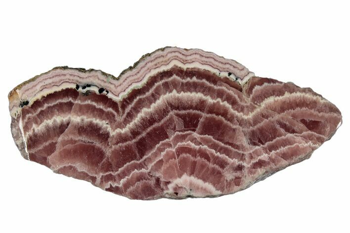 Polished Banded Rhodochrosite Slab - Argentina #281805